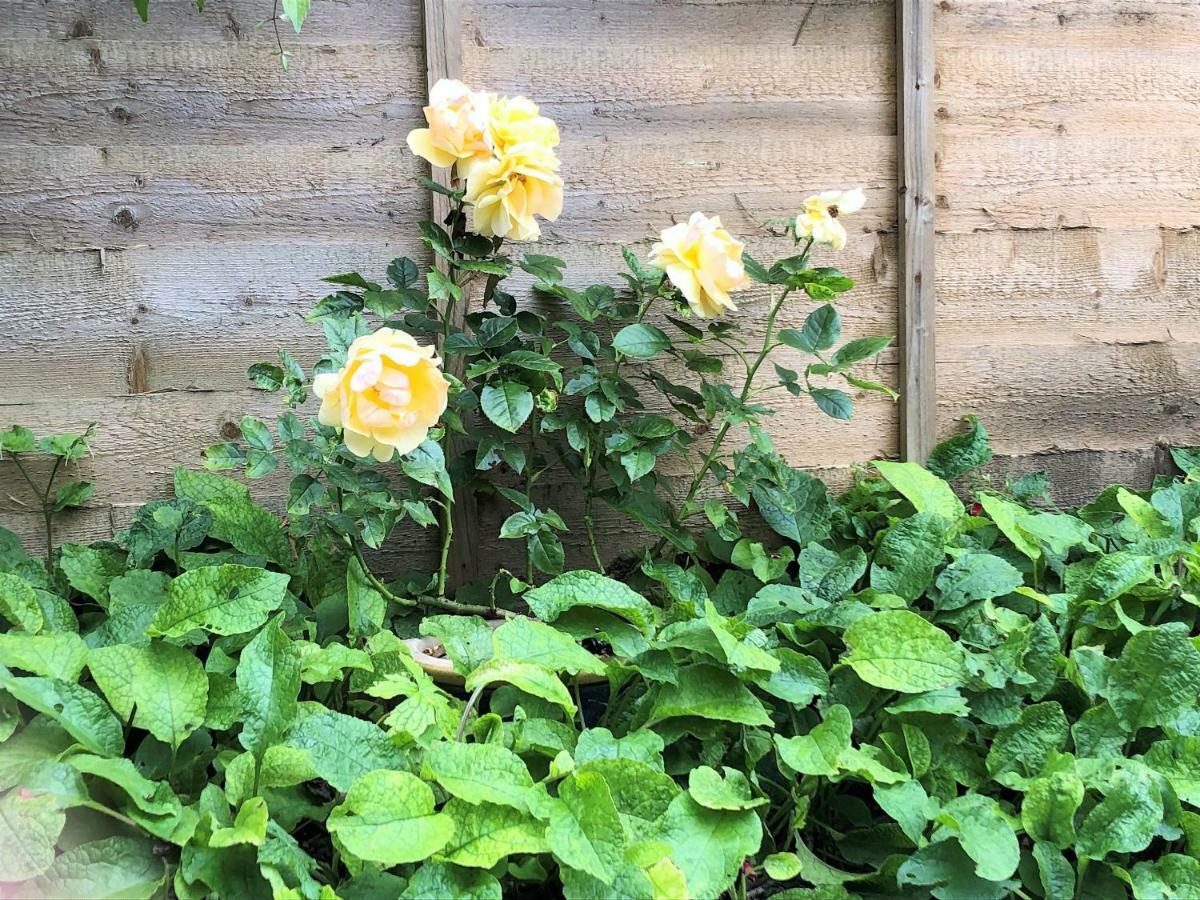 Briar Cottage Blockley Bagian luar foto